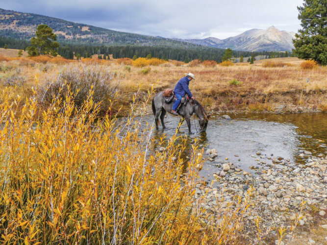 Train a Horse to Cross a Stream